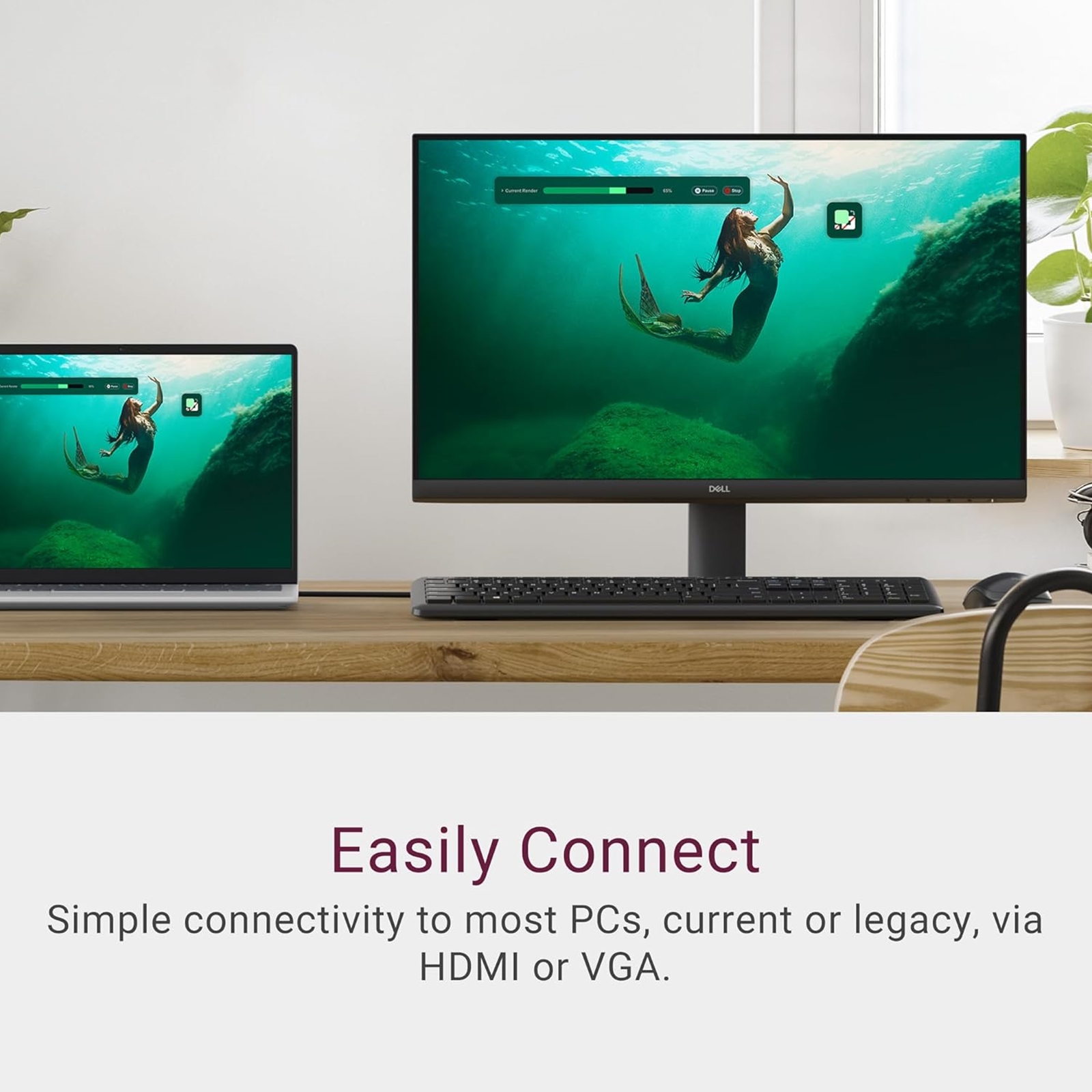 Dell SE2425HM 24 Inch Monitor, Full HD (1920x1080), 100Hz, IPS, 5ms, VESA HDMI, VGA - Image 5